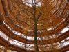 Das Innere des "Adlerhorsts" im Baumwipfelpfad des Naturerbe Zentrums Rügen